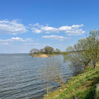 Rudzica Ochaby Frelichów