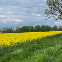 Chybie - Kończyce - Zebrzydowice - Strumień - Pszczyna