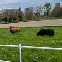Chybie - Kończyce - Zebrzydowice - Strumień - Pszczyna